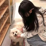 三国也风流无限元宝版下载